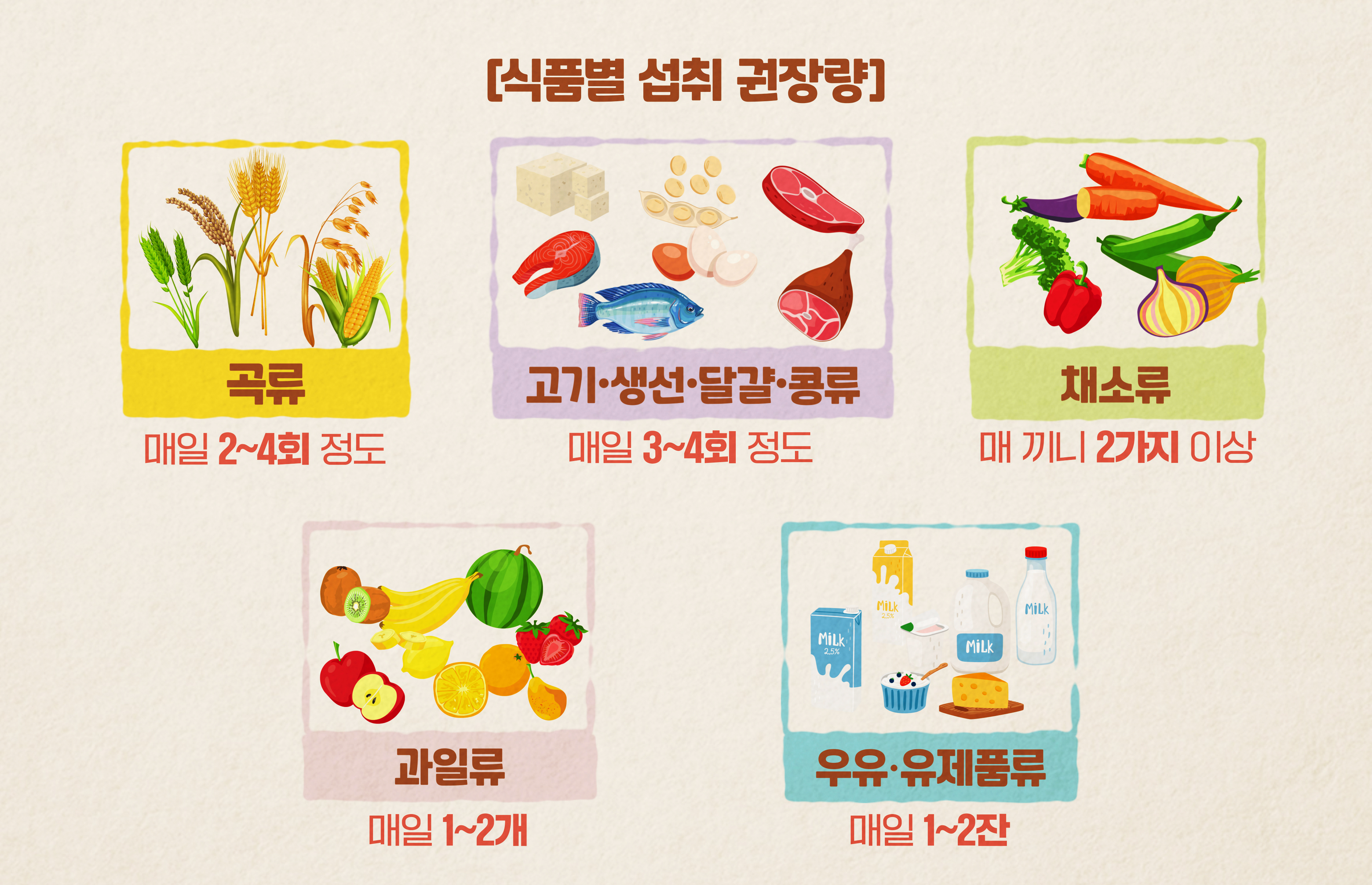[식품별 섭취 권장량] 곡류: 매일2~4회 정도. 고기·생선·달걀·콩류: 매일 3~4회 정도. 채소류: 매 끼니 2가지 이상. 과일류: 매일 1~2개. 우유·유제품류: 매일 1~2잔.